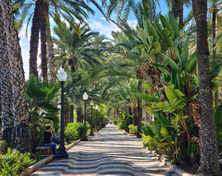 Alicante promenade with palm trees and waved tiles